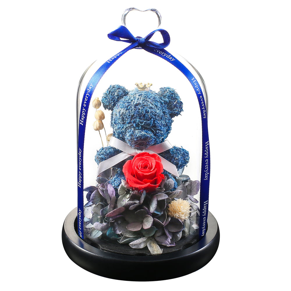 Black Gift Box,Battery Operated Preserved Flower Forever Lasting Decoration Eternal Rose-Glass Dome Romance Present Love Anniversary Light Up LED Stand Enchanted