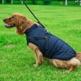 thumbnail image 5 of Padded Vest Dog Jacket - Warm Zip Up Dog Vest Fleece Jacket with Dual D Ring Leash - Winter Water Resistant Small Dog Sweater - Dog Clothes for Small Dogs Boy and Medium Dogs for Everyday Use, 5 of 7