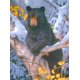thumbnail image 1 of 30 X 40 Cm, nuestra pintura de diamantes negros Broderie Diamant Peinture Canevas 5d Tableau Enfant Adulte Strass Lot Puzzle Dessin Decoración Murale Cha, 1 of 5