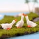 thumbnail image 4 of Adorno de ganso Figuras de animales de resina Decoración de exhibición de mesa Decoración de paisaje micro Mini accesorios de fotografía, C brillar Juguete, 4 of 5