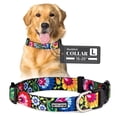thumbnail image 1 of Collar para perros Lucky Love Dog Blackbird para perros pequeños y grandes, 1 of 8