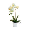thumbnail image 2 of Bewildely Sin flores artificiales marchitas para una belleza duradera en cualquier entorno Bonsái artificial hipoalergénico Decoración del hogar BF2312085, 2 of 6