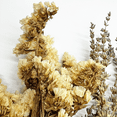 thumbnail image 5 of Bergamo Art 20 Inch High Real Preserved Mixed Bouquets Mix 7 in Large, 5 of 10