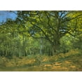 thumbnail image 2 of Monet, Claude 18x15 White Modern Wood Framed Museum Art Print Titled - Bodmer Oak at Bas-Breau 1865, 2 of 4