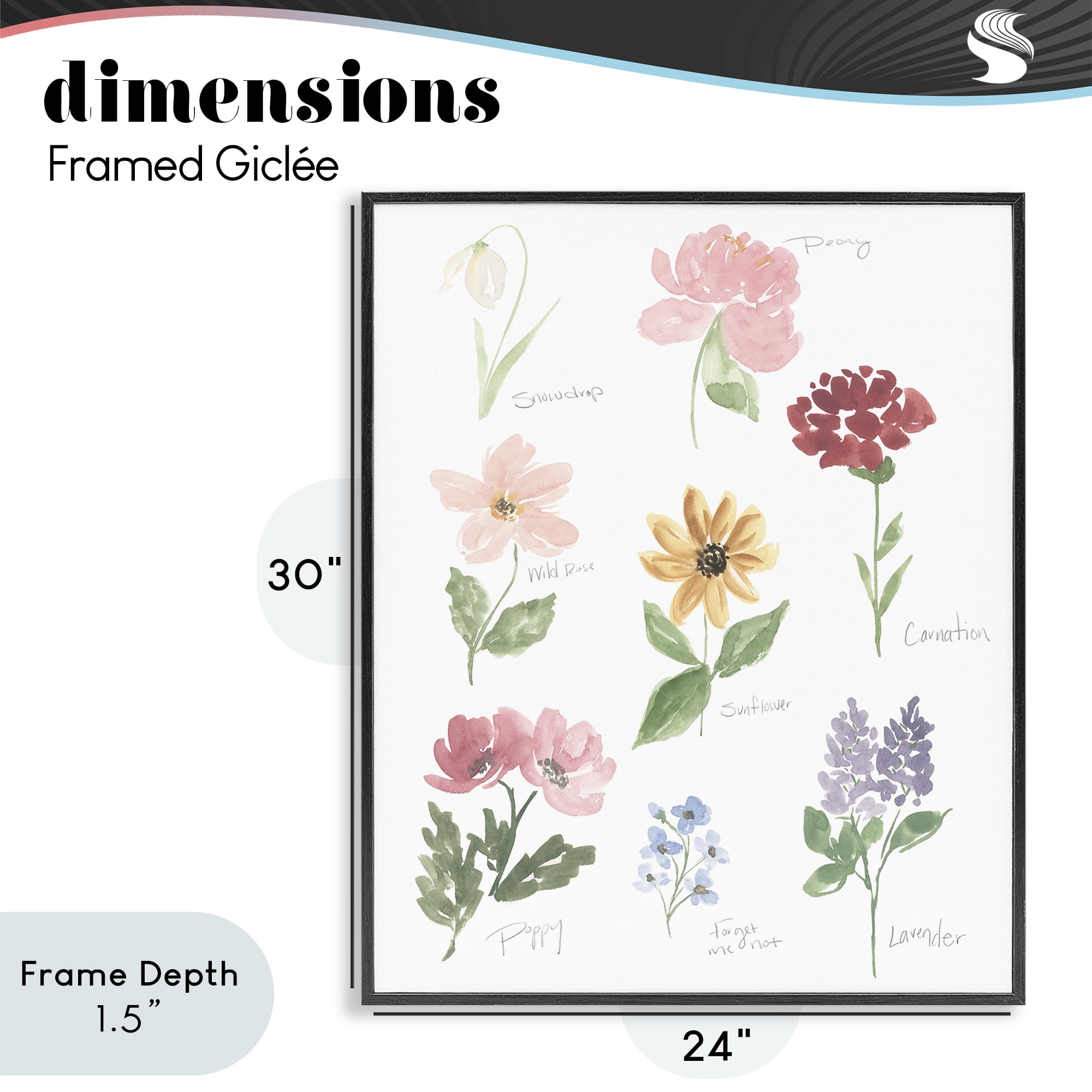 Stupell Industries Labeled Flower Varieties Black Framed Giclee Art, design by Lucille Price
