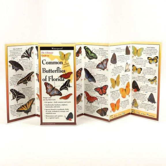 FoldingGuides: Common Butterflies of Florida (Other)