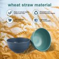 thumbnail image 4 of Juego de tazones para cereales HEYCOME, pajitas de trigo irrompibles, 750 ml, 12 unidades, 4 of 7