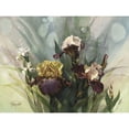 thumbnail image 3 of Hadfield, Clif 24x19 Black Modern Framed Museum Art Print Titled - Hadfield Irises VI, 3 of 5