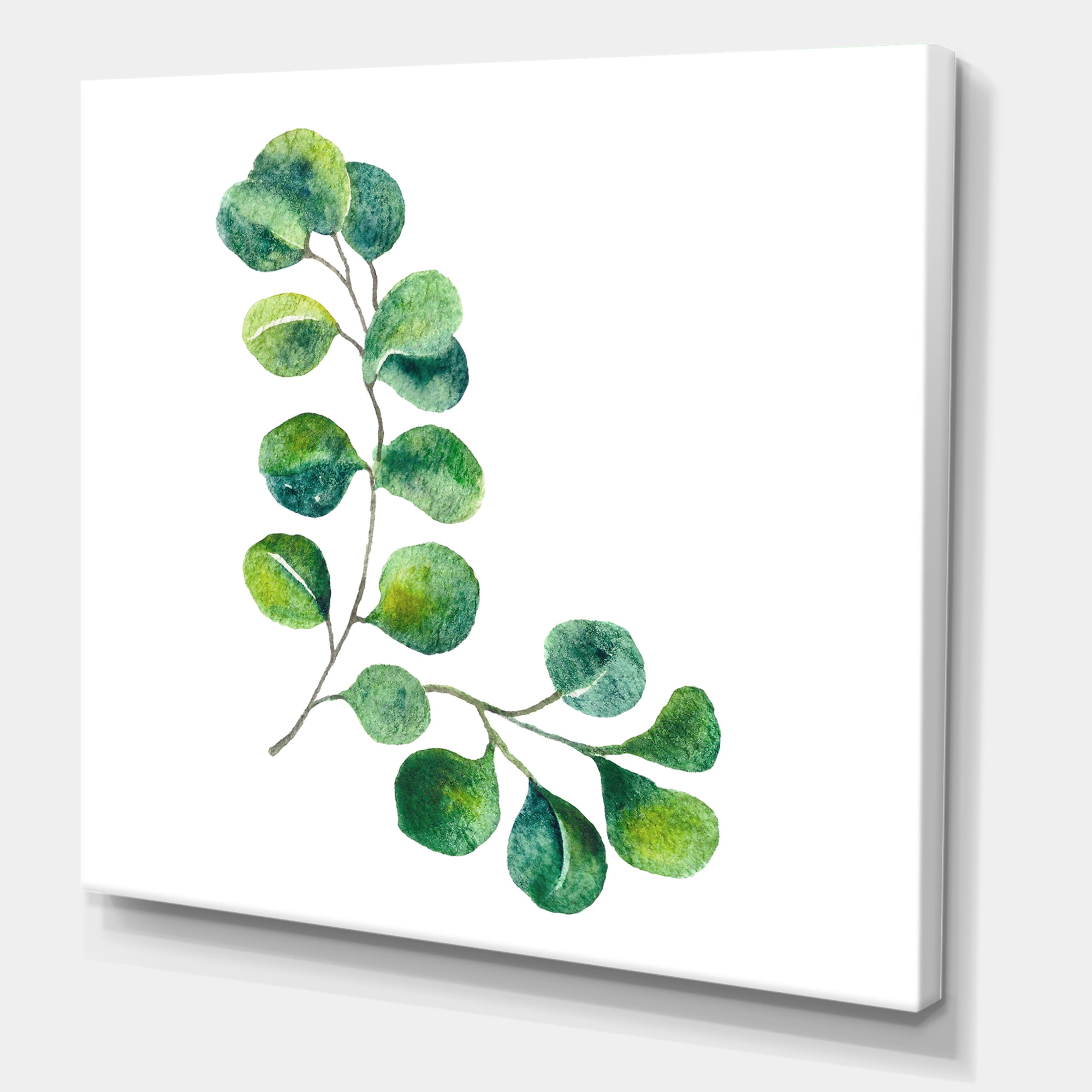 Designart ' Green Eucalyptus Plant Branches II ' Traditional Canvas Wall Art Print
