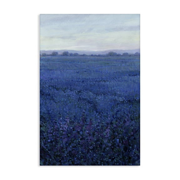Stupell Industries Contemporary Vast Blue Fields View Canvas Art, 16 x 24, by Tim O'Toole