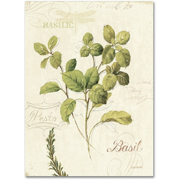 Trademark Fine Art "Aromantique III" Canvas Art by Lisa Audit