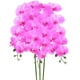 thumbnail image 1 of Uxcell 3-Pack Flores de Orquídea Artificial 9 Pétalos Grandes 37 Pulgadas Ramo de Seda Phalaenopsis Lila Orquídeas Falsas para Hogar/Boda, 1 of 1