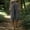 A_ Dark Gray, variant on Women's Linen Blend Harem Capri Pants, Elastic Waist Drawstring Cuff Harem Pants with Pockets for Festival Wear Coffee XL