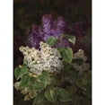 thumbnail image 2 of White and violet lilac Poster Print by Johan Laurentz Jensen (22 x 28), 2 of 2