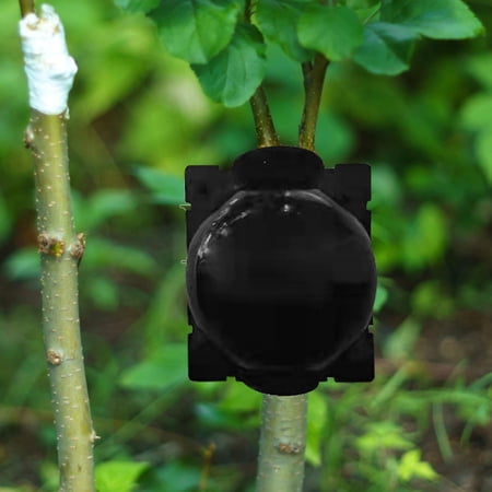 High Pressure Propagation Ball Breeding Case for Rooting Growing Breeding Medium Black