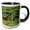 Black/White, variant on 3drose, Red-eared Slider Turtle, Rio Grande Valley, Texas - Us44 Rnu0218 - Rolf Nussbaumer, 11oz Two-tone Black Mug