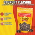 thumbnail image 3 of OZARK NUT ROASTERS, Chocolate Amaretto Cherries, Chocolate-Flavored Cherry Snacks, World-Class Gourmet Candied Nuts, Resealable Pack, (16.0 oz), 3 of 5