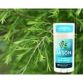 thumbnail image 4 of Jason Deodorant Stick Tea Tree, Aluminum & Propylene Glycol Free, 2.5 OZ, 4 of 4