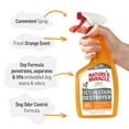 thumbnail image 4 of (4 pack) Nature’s Miracle Oxy Formula Set-In Stain Destroyer for Dogs, Orange Scent, 24 oz, 4 of 10