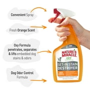 Nature’s Miracle Oxy Formula Set-In Stain Destroyer for Dogs, Orange Scent, 24 oz