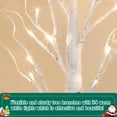 thumbnail image 3 of Decoraciones navideñas PEIDUO Abedul 2 pies con luces LE, 3 of 8