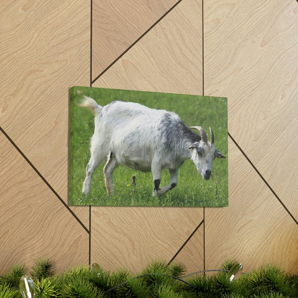 Billy Goat Hunting Billy Goat on Hunt Print Animal Wall Art