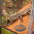 thumbnail image 1 of unbranded 1Ud De Para Reptiles De Resina Con Para Mascotas, 1 of 6