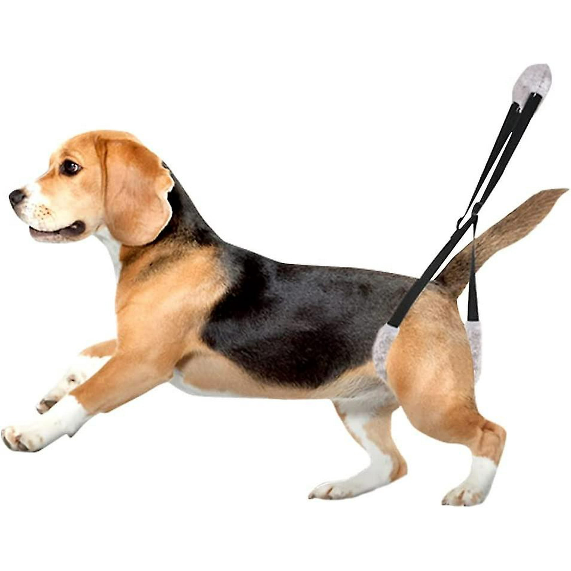 Dog rear support sling sales