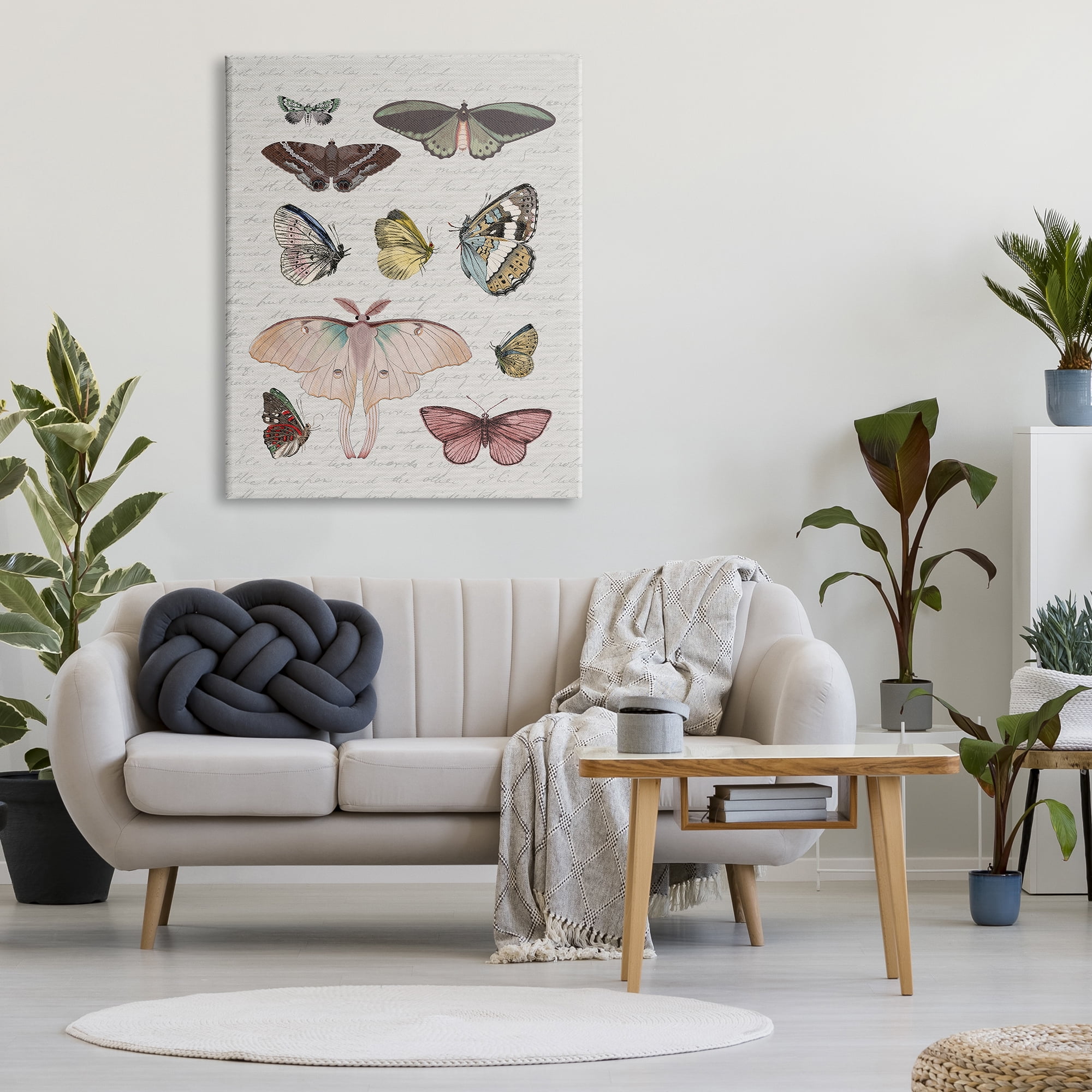 Stupell Industries Moths & Butterflies Vintage Animals & Insects Painting Gallery Wrapped Canvas Art Print Wall Art, 36 x 48