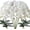 White06, variant on Artificial Phalaenopsis Flowers with Leaves Artificial Orchid Flowers Stem Plants for Home Décor