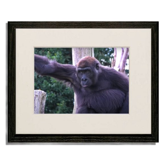 Gorille (Gorilla) 11"x14" Black Wood Frame Art Print featuring 8x10 Mat and Real Glass