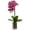 Pink, variant on Nearly Natural 24" Orchid Phalaenopsis Artificial Flower Arrangement in Vase, Cream
