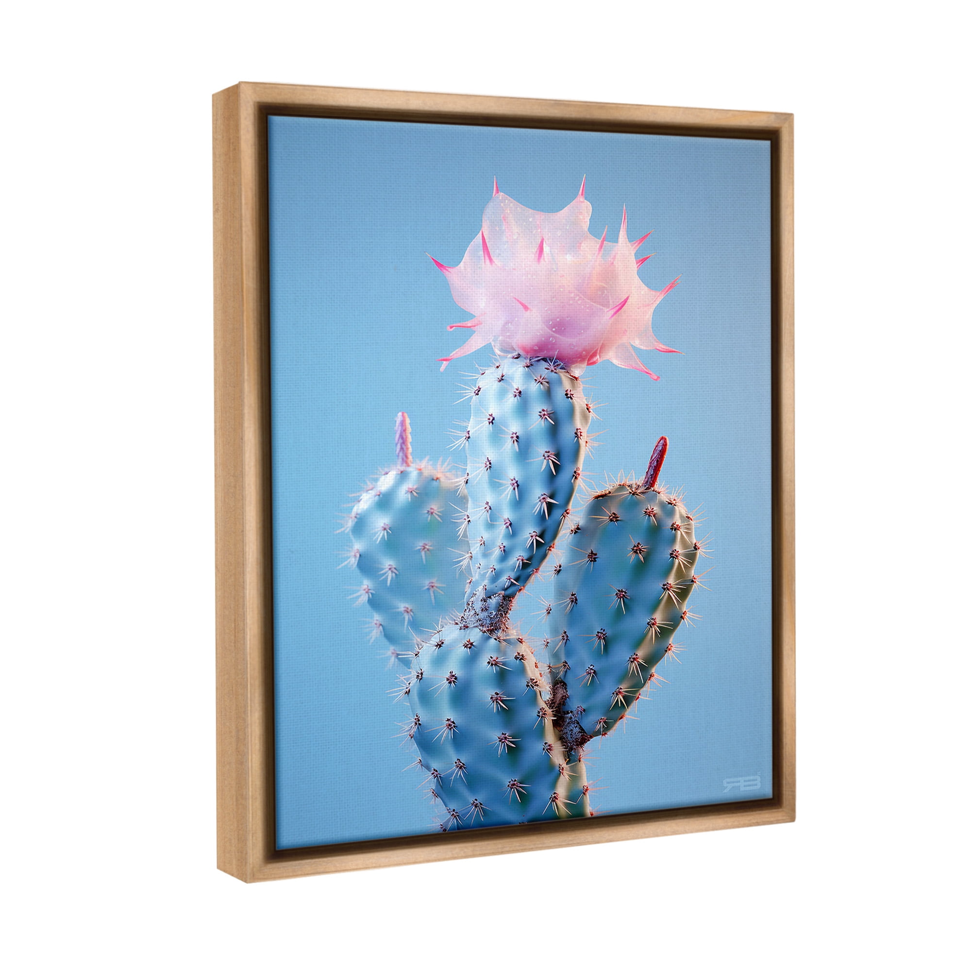 Stupell Industries Pink Budding Cactus Flowers Botanical & Floral Painting Brown Floater Framed Canvas Art Print Wall Art, 17 x 21