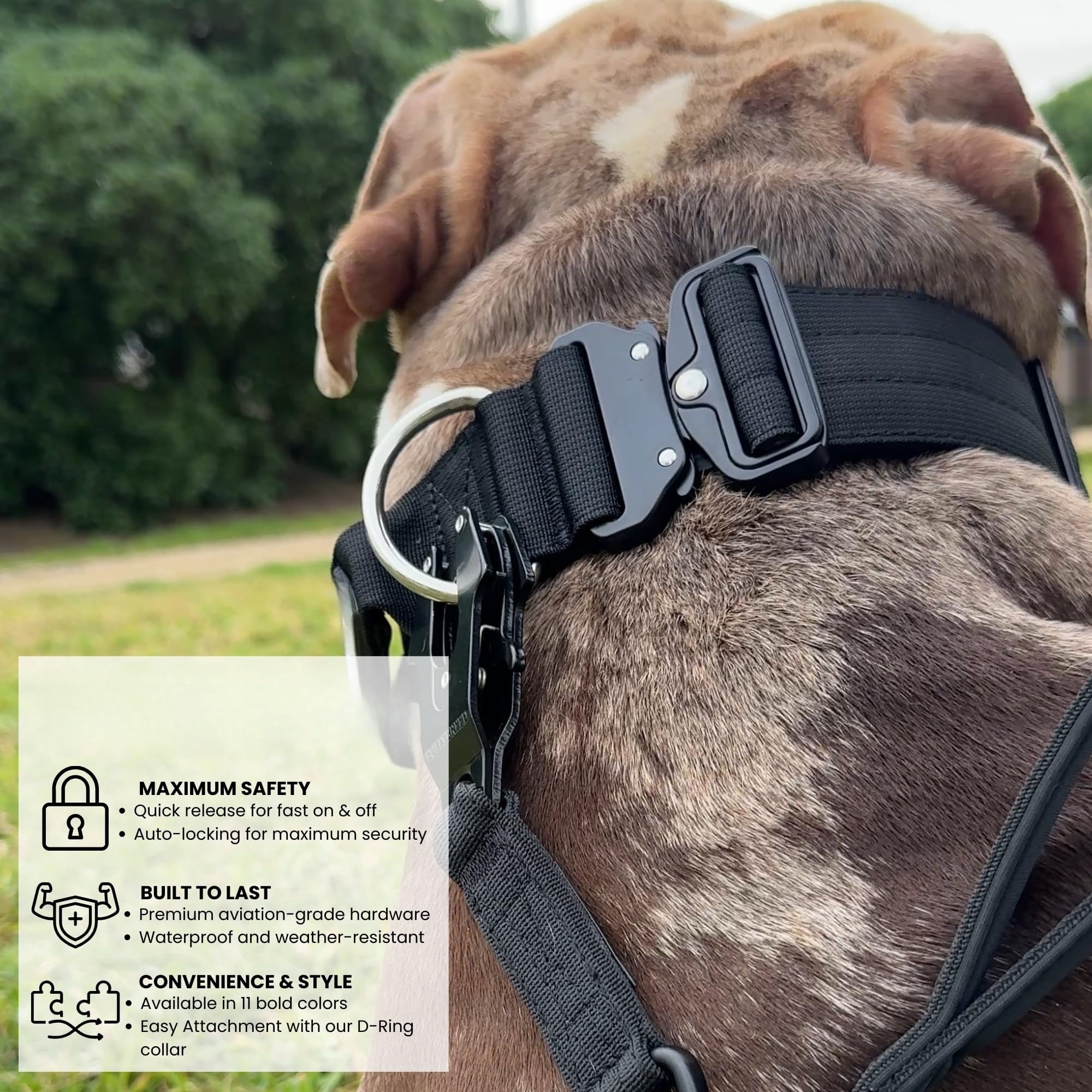 Lohol Tactical Dog Collar – Heavy Duty Dog Collar, Dog Collars for Medium Dogs, Waterproof Dog Collar, Dog Training Collar, Quick-Release Metal Buckle, Adjustable Sizes (Aquamarine, Medium)