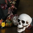 thumbnail image 4 of CASAFUN Halloween Human Skull Model Human Adult Skull Plastic Skull Decor Fake Skull Decorations Realistic Skull Head Decor Head Bone Model Human Skeleton Head Human Skull Statue, 4 of 5
