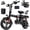 T1 Plus Black-25MPH, variant on Portable Terrosor Electric Bicycle - 14" Foldable Design, Dual Disc Brakes, 20mph Max Speed, Includes Storage Basket