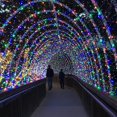 thumbnail image 3 of 181FT 500 LED Christmas Indoor Outdoor Decorative Lights, 8 Modes Waterproof Plug in Green Wire Fairy String Lights for Christmas Tree Party Wedding Garden Holiday Home Decoration (Multicolor), 3 of 6