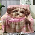 thumbnail image 6 of FLASHLUMI 50"×60" Soft Sherpa Blanket, Cozy Plush Warm Throw Blanket for Couch Bed Sofa Home Office Decor, 6 of 10