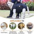 thumbnail image 3 of Mochila transportadora para perros grandes, arnés de cuerpo completo para perros con, 3 of 8
