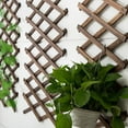 thumbnail image 3 of MasteelfCA Expandable Garden Trellis Plant Support Willow Fence Panel for Climbing Plants, 3 of 9