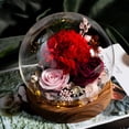 thumbnail image 2 of Regalo de flores para siempre,Flores de rosas preservadas en una caja de vidrio,Regalos de flores de rosas eternas de rosas inmortales, 2 of 5