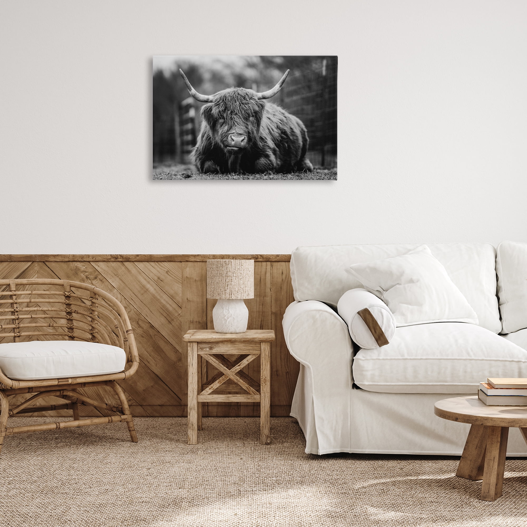 Stupell Industries Cattle Laying in Grass Animals & Insects Photography Gallery Wrapped Canvas Art Print Wall Art, 30 x 20