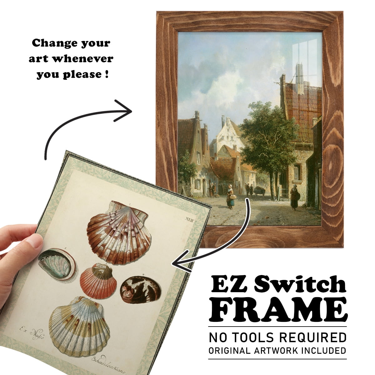 Bookplate Shells III - Framed Print w/glass - Walnut