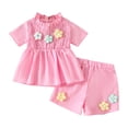 thumbnail image 1 of Zpanxa Girls Short Sets Ribbed Short Sleeve Top with Floral Print and Shorts 2 Piece Set 3 Years, 1 of 7