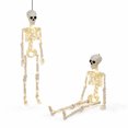 2Pcs 35.5 Inches LED Light Up Halloween Skeleton, 90CM Height Realistic ...