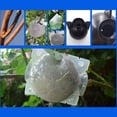 thumbnail image 6 of Plant High Pressure Box Propagation Multipurpose Growing Supplies for Home Festival Fruit Tree Plant Growing Supply, 6 of 9