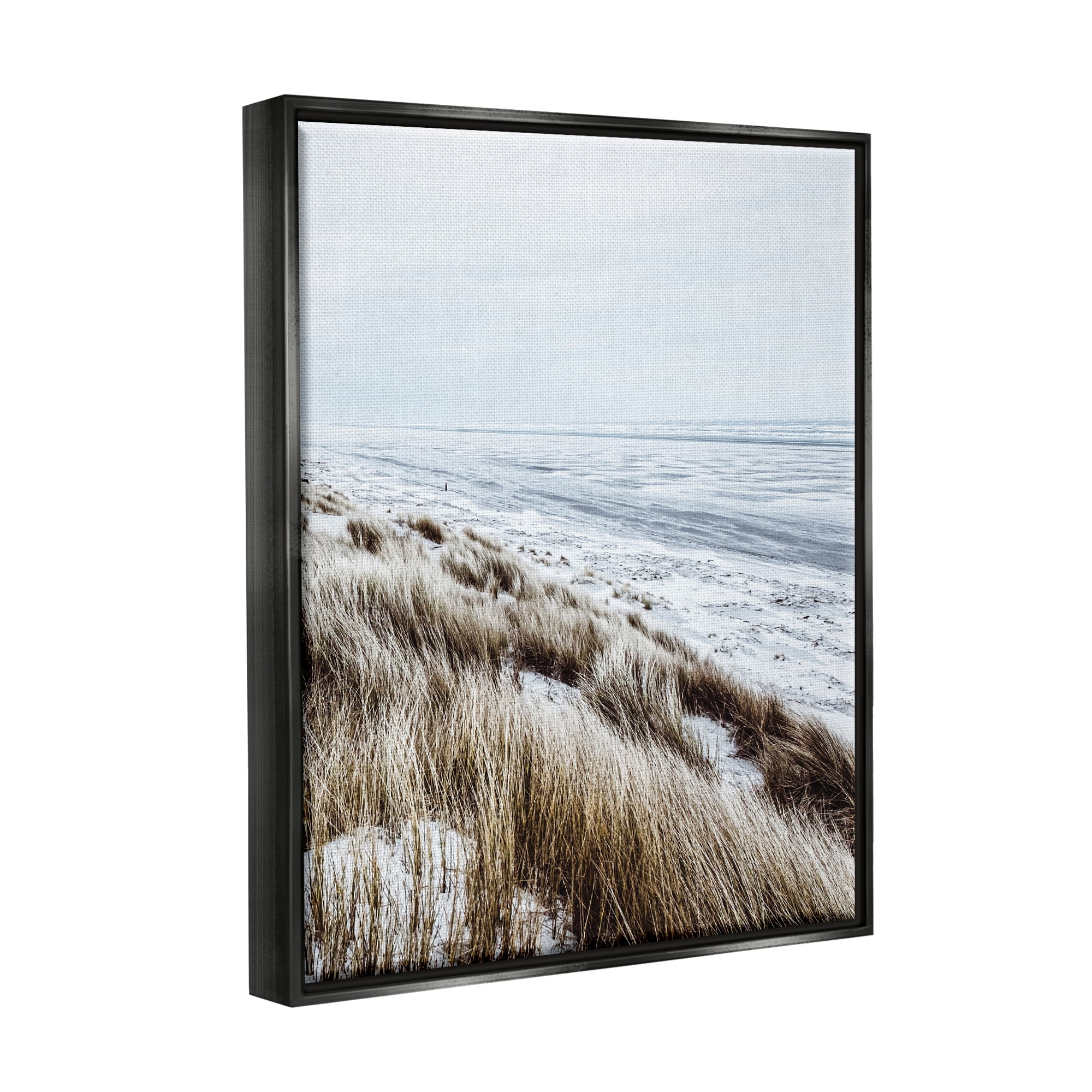 Stupell Industries Beach Reeds Landscape Nature Photography Black Floater Framed Art Print Wall Art, 25 x 31