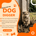 thumbnail image 4 of Zone Protects Pets No Holes – Stop Dogs Digging Spray for Yard & Fence Line | Digging Deterrent for Lawns, Flower Beds & Gardens | Rain-Guard 4-Week Protection | Gallon Ready-to-Use, 4 of 6