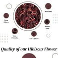 thumbnail image 3 of Dried Hibiscus Flower Hibiscus Tea perfect for Hibiscus Tea loose leaf and Mexican Agua Fresca, 3 of 11