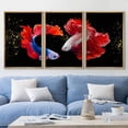 thumbnail image 3 of wall26 Framed Canvas Print Wall Art Set Vibrant Multicolor Tropical Ocean Betta Fish Nature Animals Photography Realism Rustic Landscape Colorful for Living Room, Bedroom, Office - 16"x24"x, 3 of 5